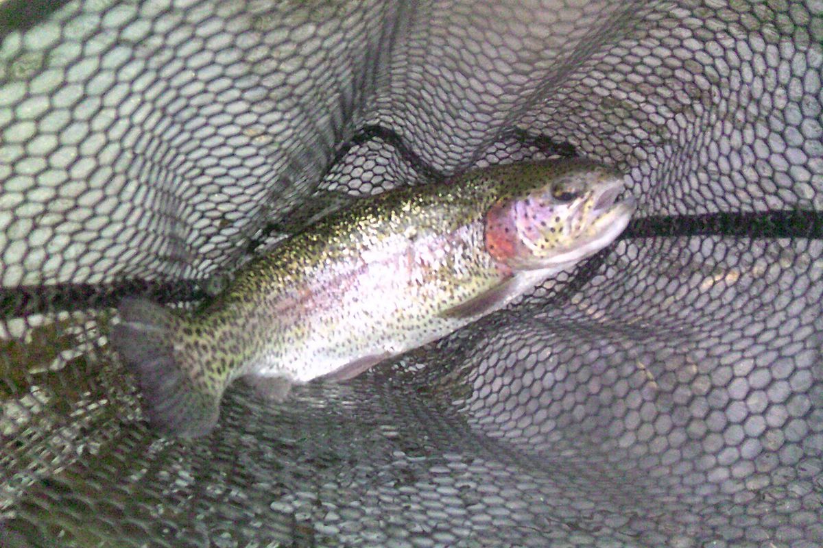 How to fish with a bad hip