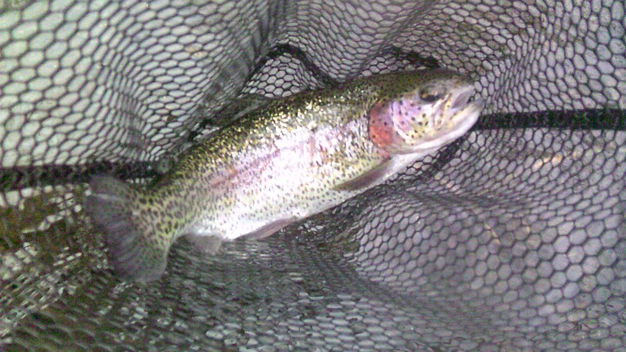 How to fish with a bad hip