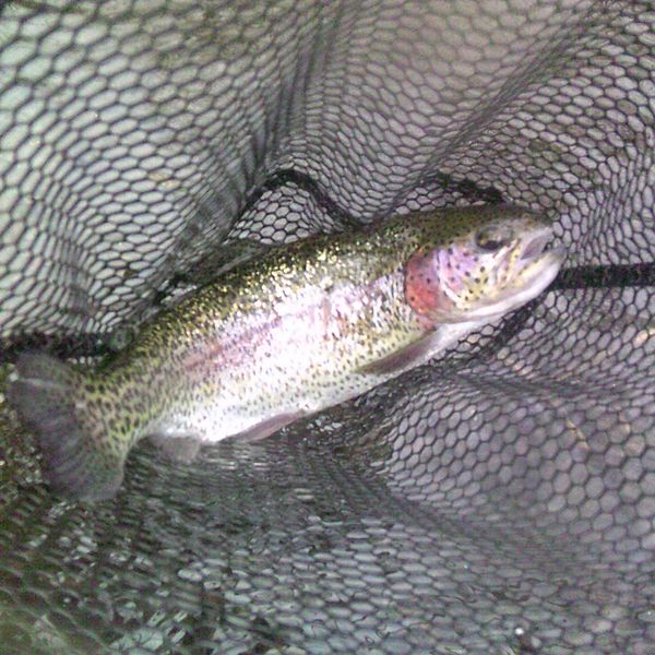 How to fish with a bad hip