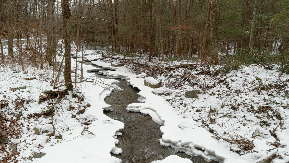 Lazy, hazy days of...winter?