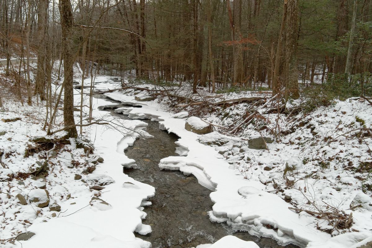 Lazy, hazy days of...winter?
