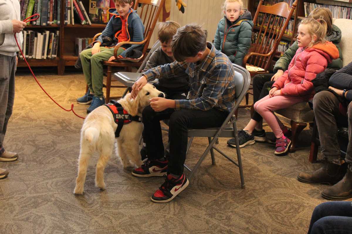 Future service animal demonstrates skills