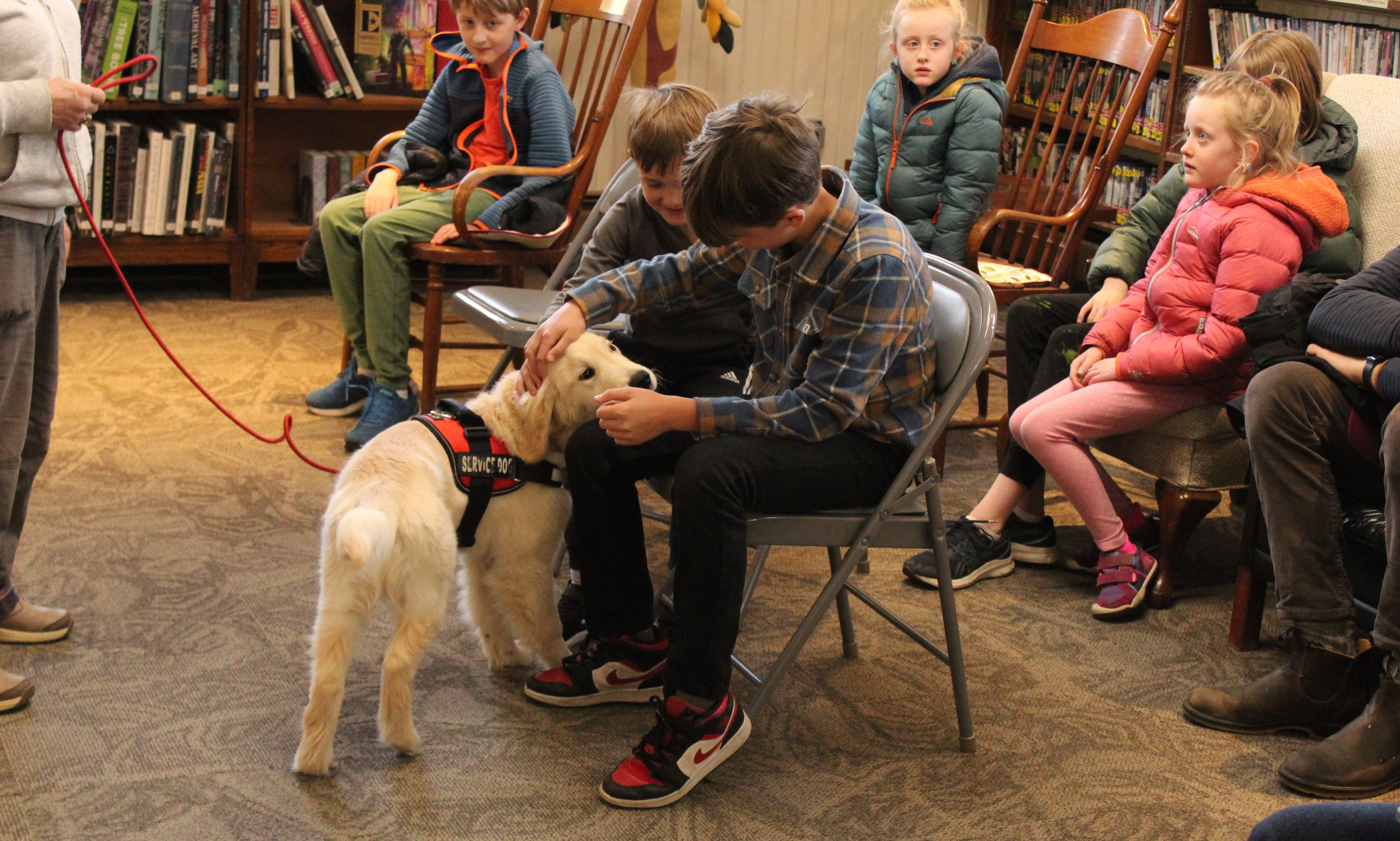 Future service animal demonstrates skills