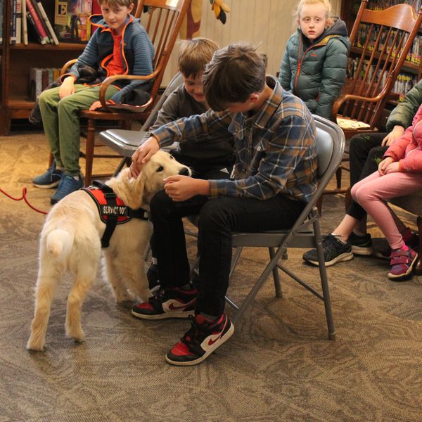 Future service animal demonstrates skills