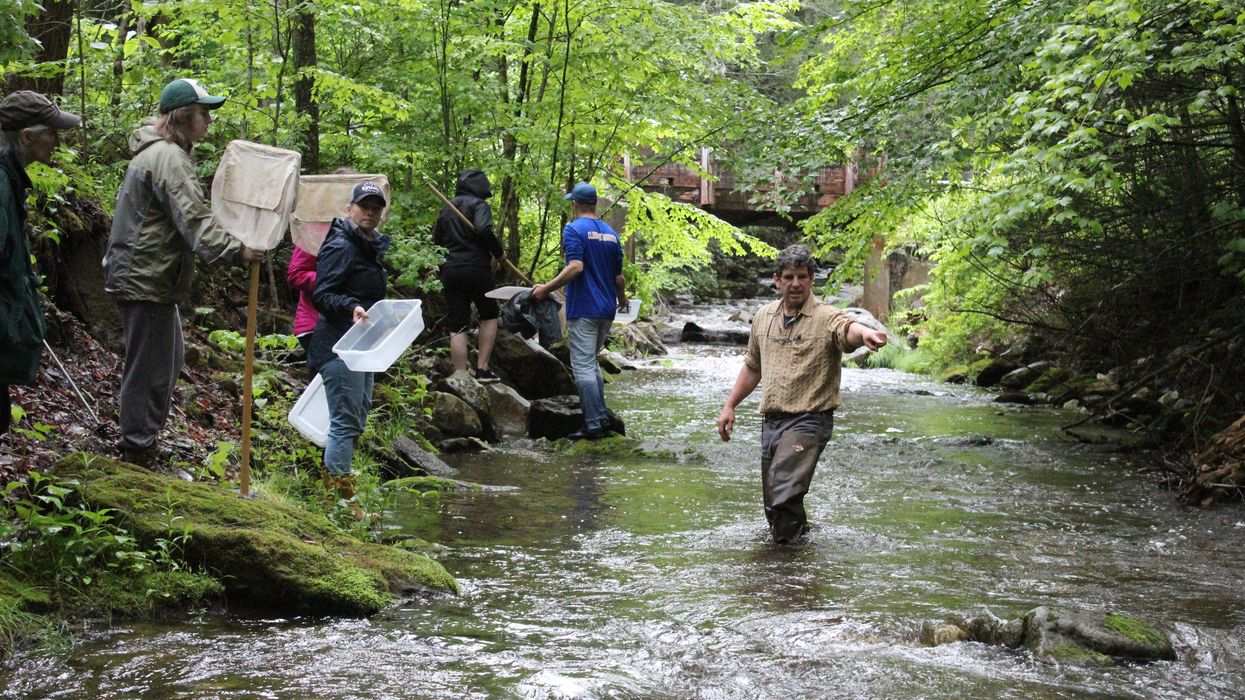 GMF leads bug count to determine stream health