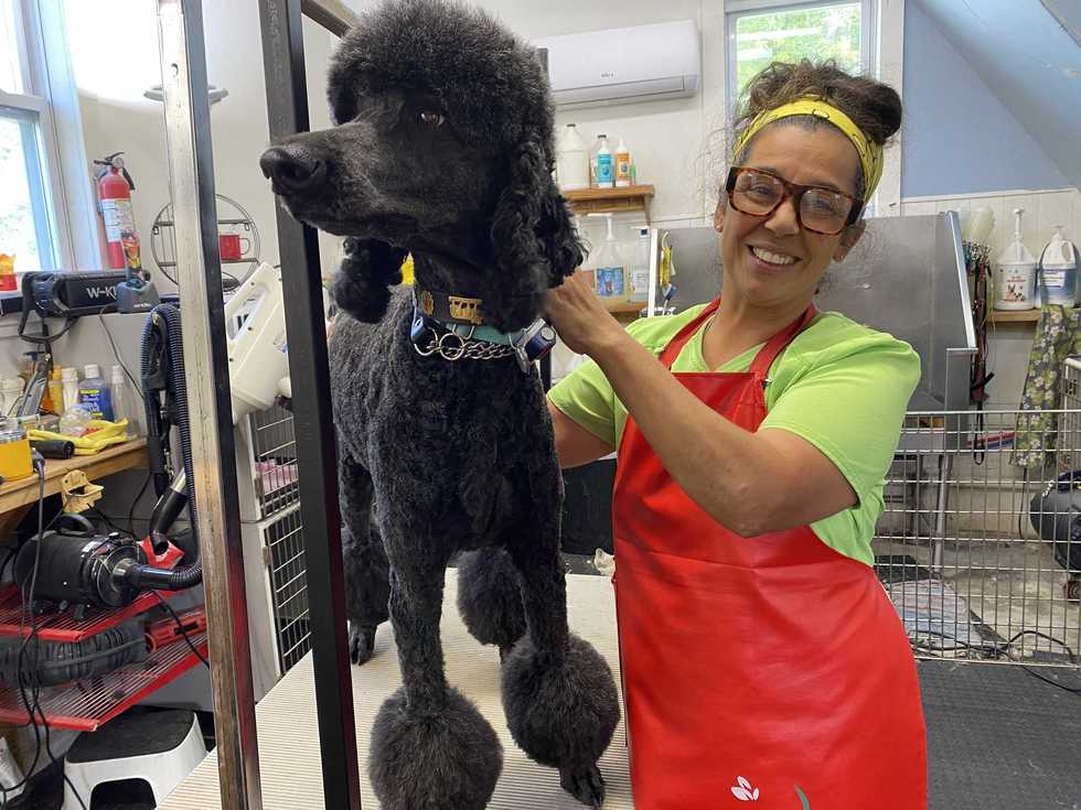 A gentle touch at Rosie’s Grooming
