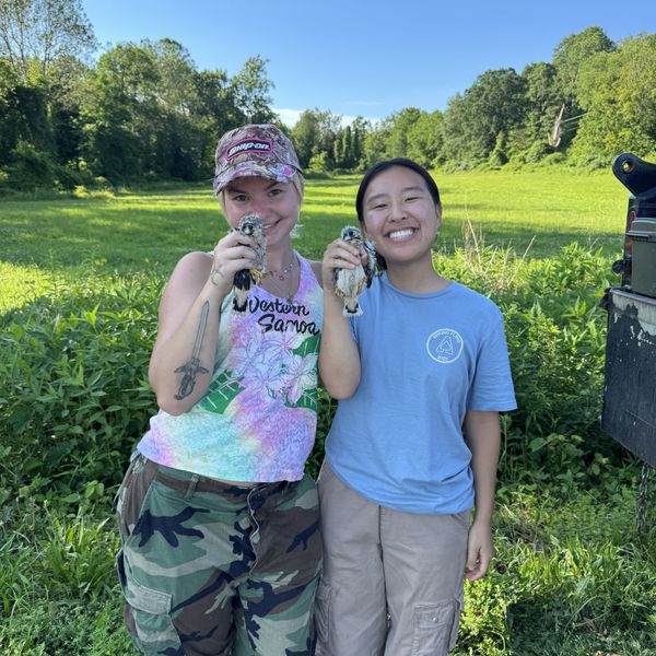 Audubon internship welcomes young adults as wildlife conservationists