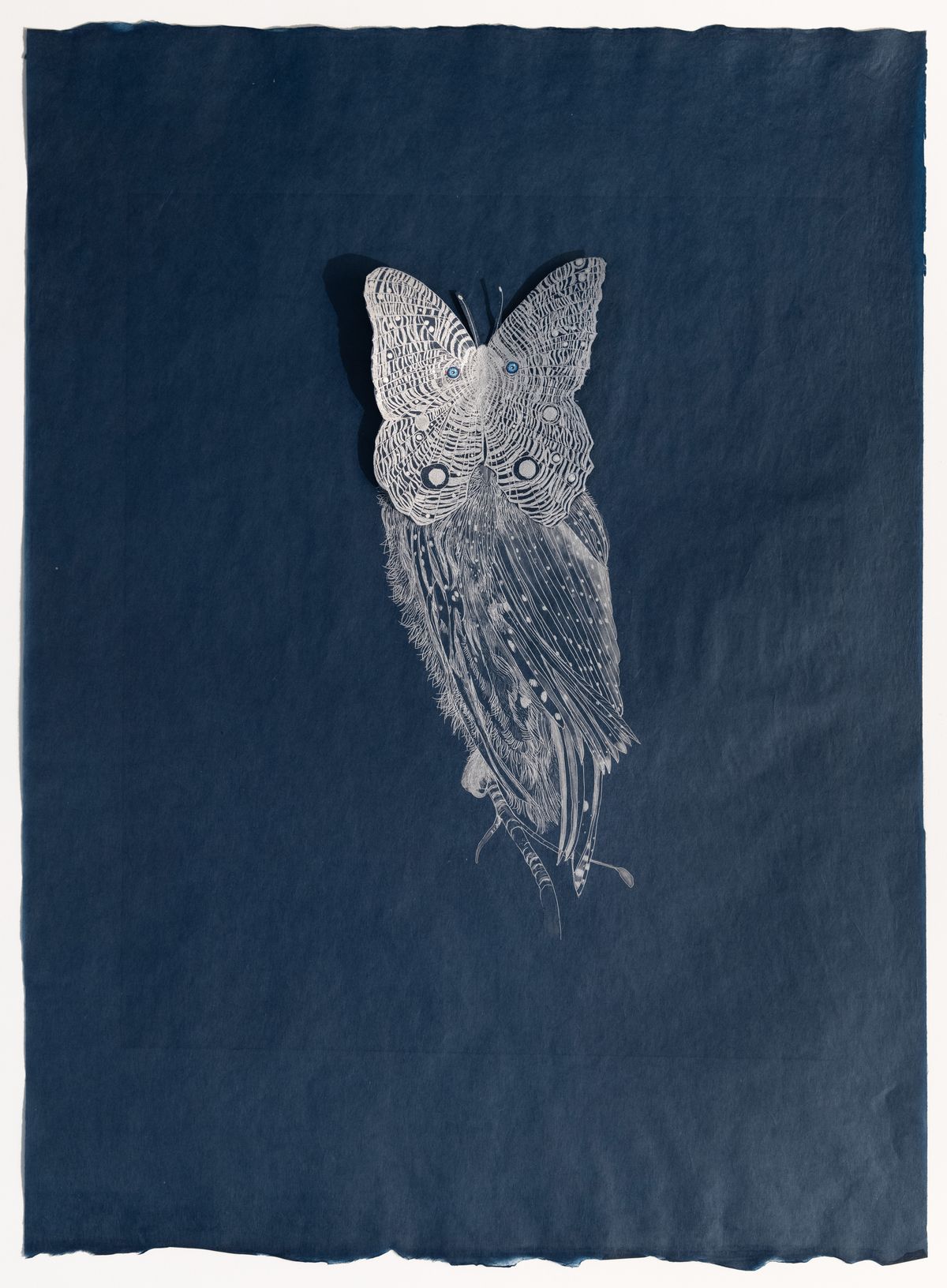 Kim Schmidt’s vision at Furnace Art on Paper