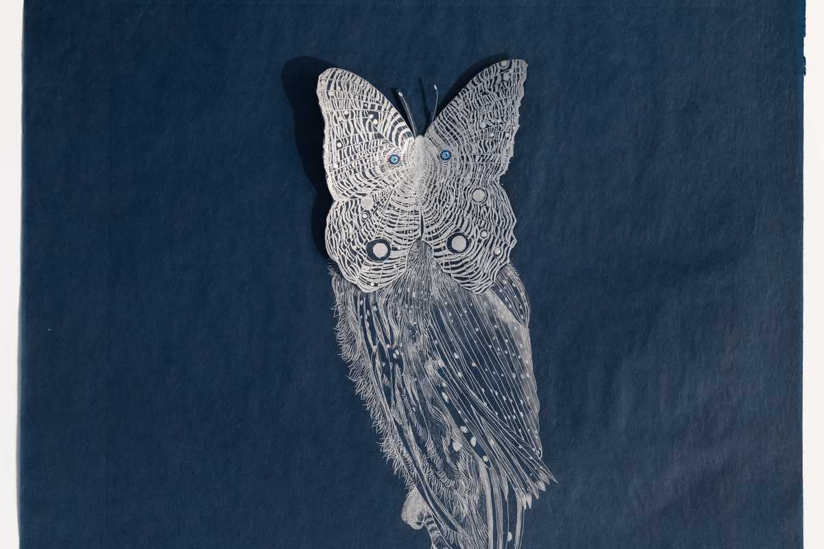 Kim Schmidt’s vision at Furnace Art on Paper