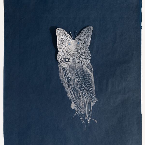 Kim Schmidt’s vision at Furnace Art on Paper