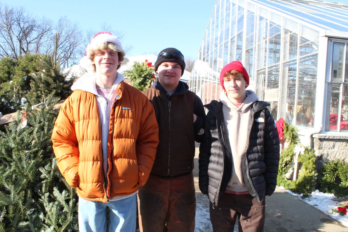 Housatonic FFA store selling trees and poinsettias until Dec. 20