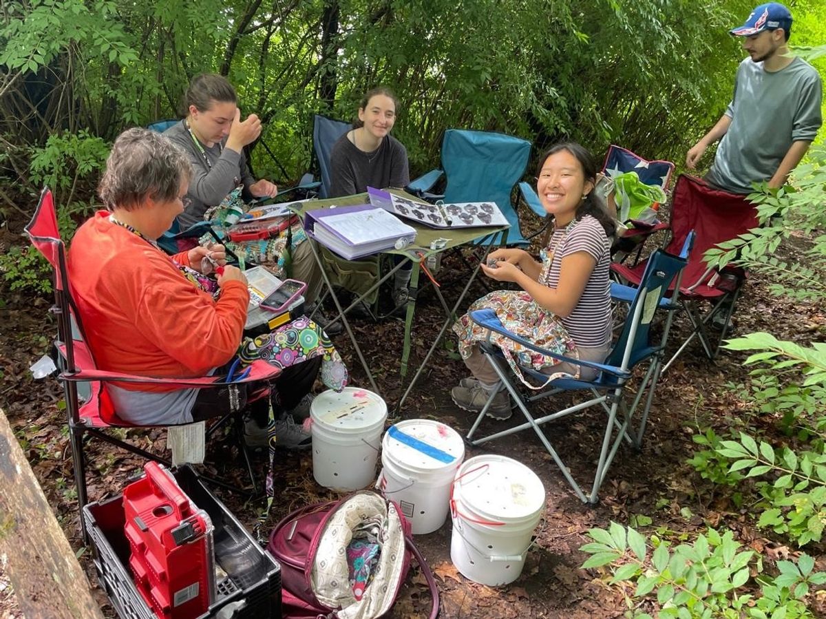 Bird banding at Sharon Audubon