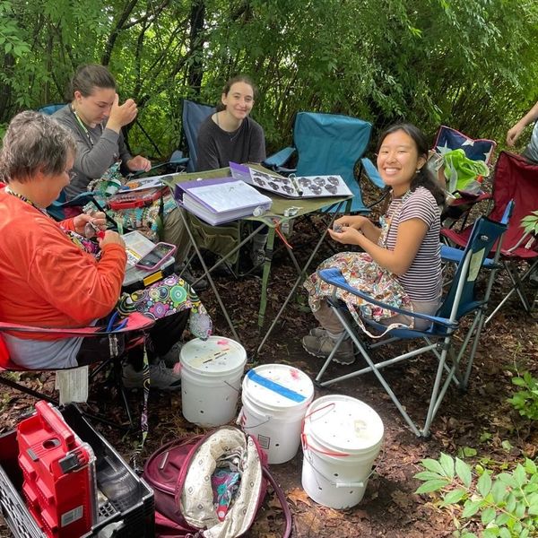 Bird banding at Sharon Audubon