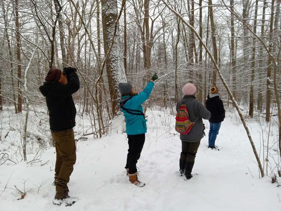 Citizen scientists look skyward for Audubon’s Christmas Bird Count