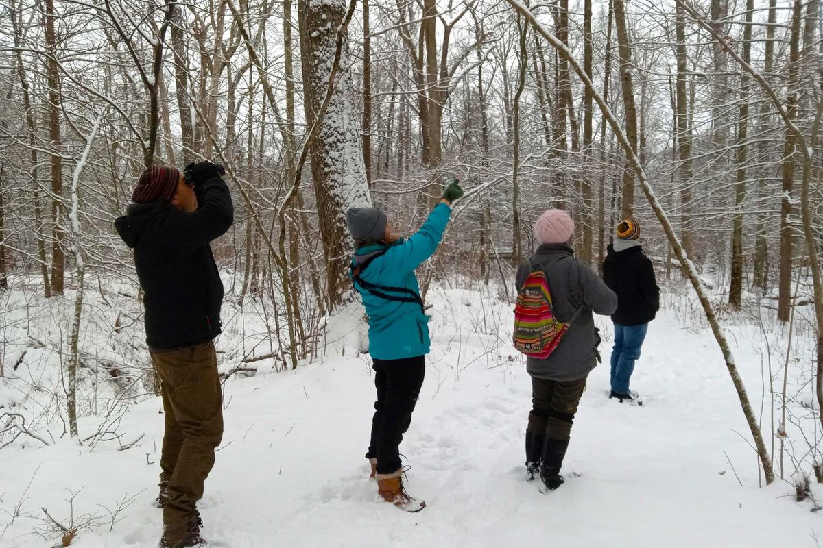 Citizen scientists look skyward for Audubon’s Christmas Bird Count