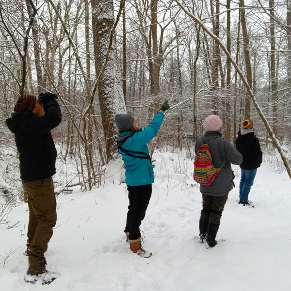 Citizen scientists look skyward for Audubon’s Christmas Bird Count