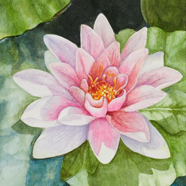 The art of Marilyn Hock