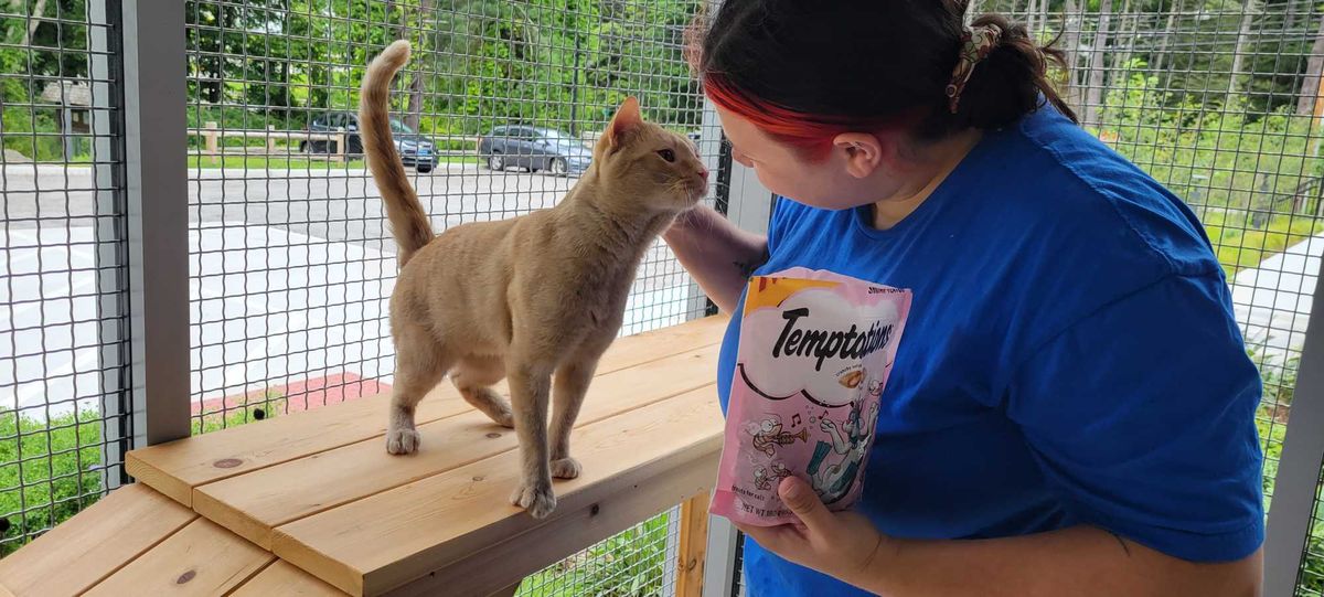 When pet owners struggle, the Northwest Corner steps in