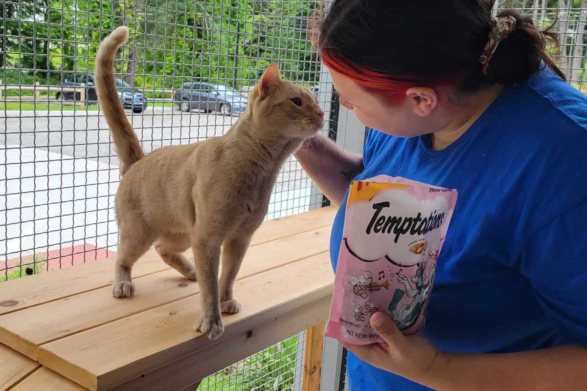 When pet owners struggle, the Northwest Corner steps in