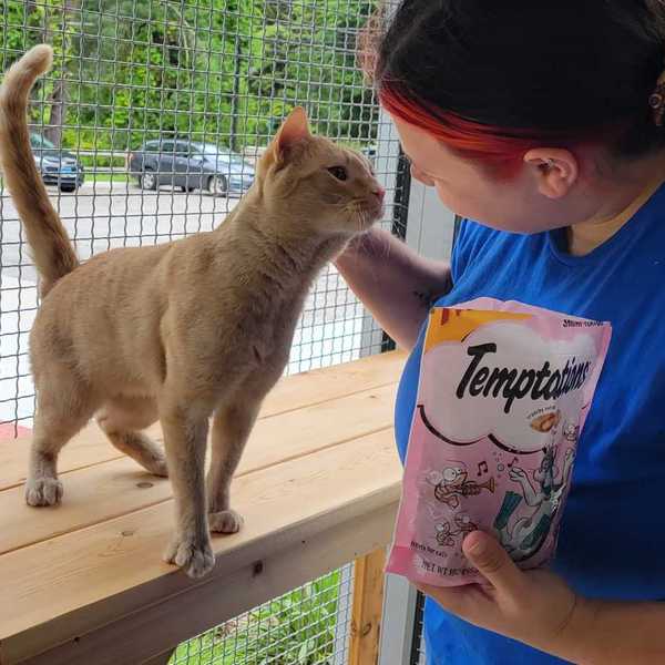 When pet owners struggle, the Northwest Corner steps in