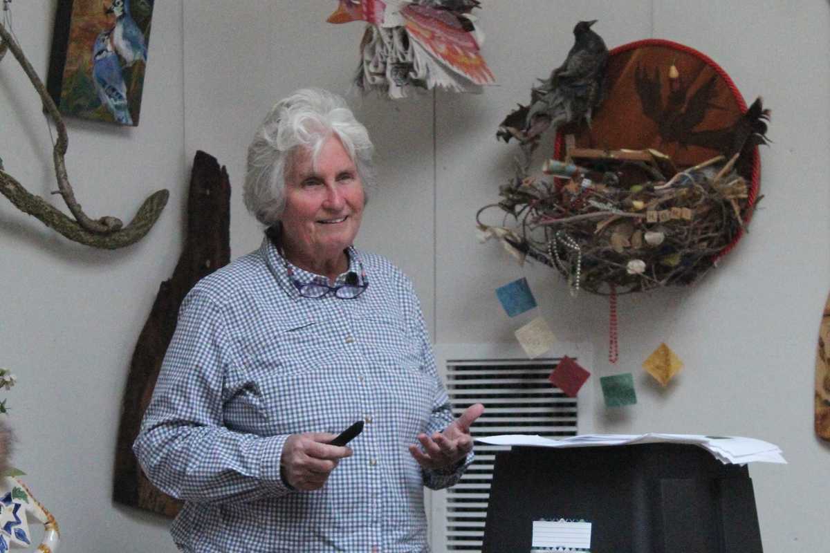 Connecticut wildlife expert debunks myths about fishers