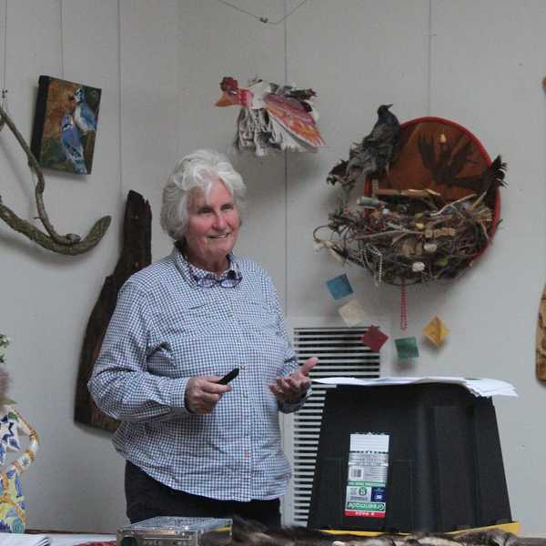 Connecticut wildlife expert debunks myths about fishers