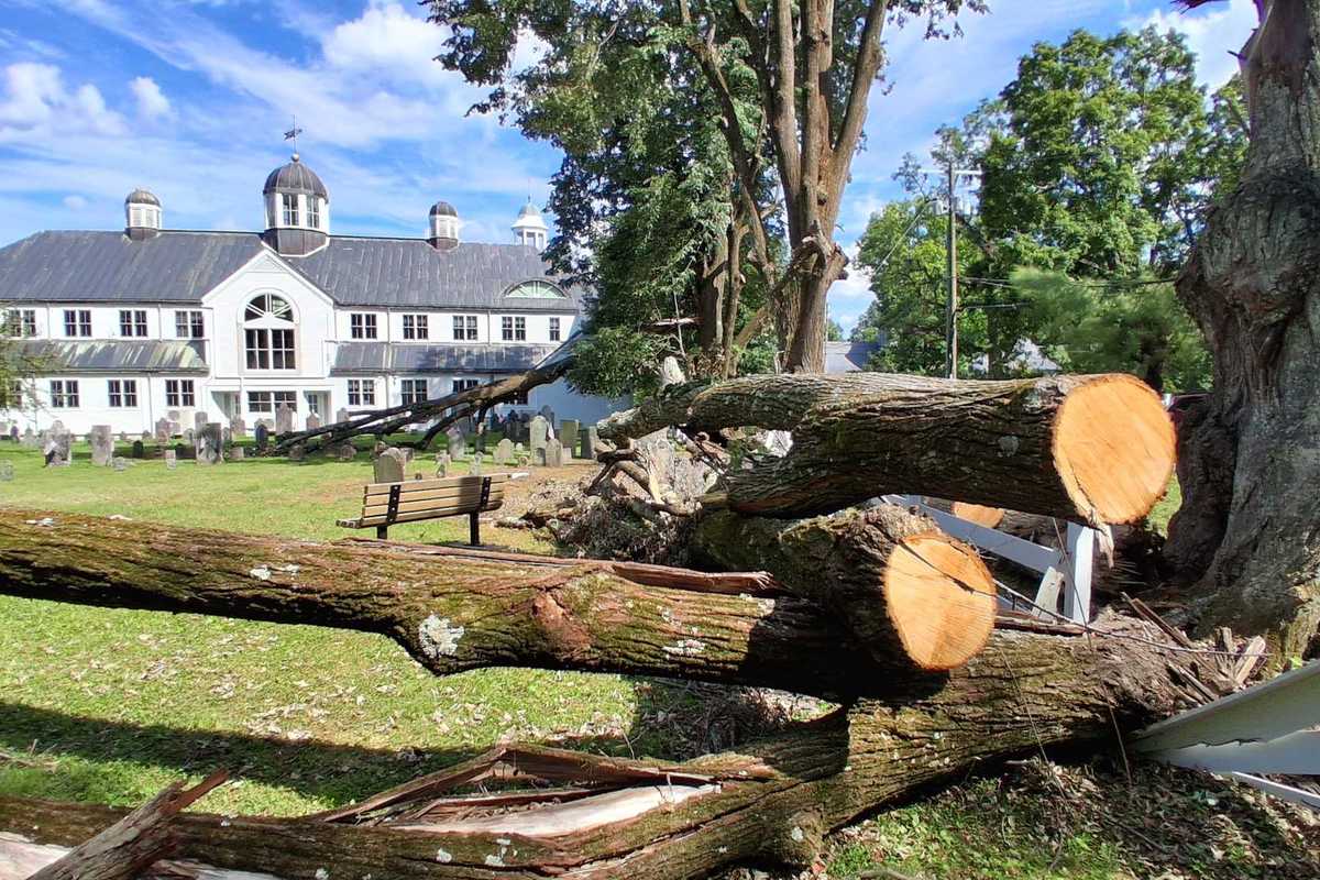 Trees removed from cemetery after storm, clearing space for Town Hall generator