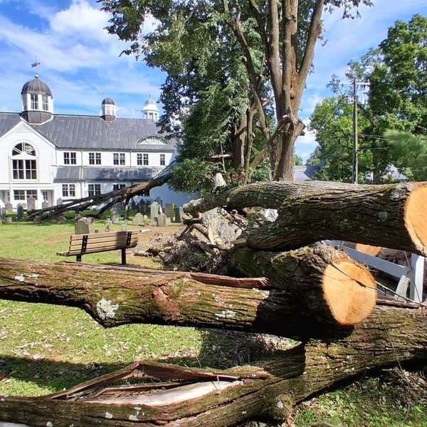 Trees removed from cemetery after storm, clearing space for Town Hall generator