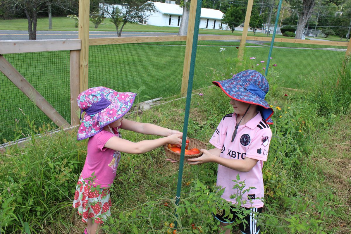 Falls Village vegetable garden in full bloom