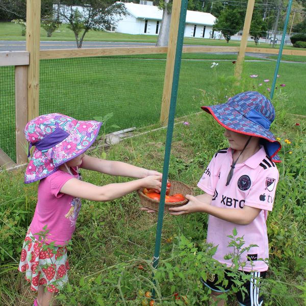 Falls Village vegetable garden in full bloom